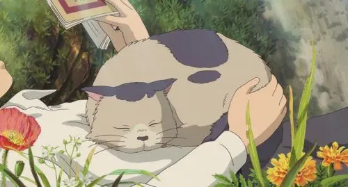 ニーヤ